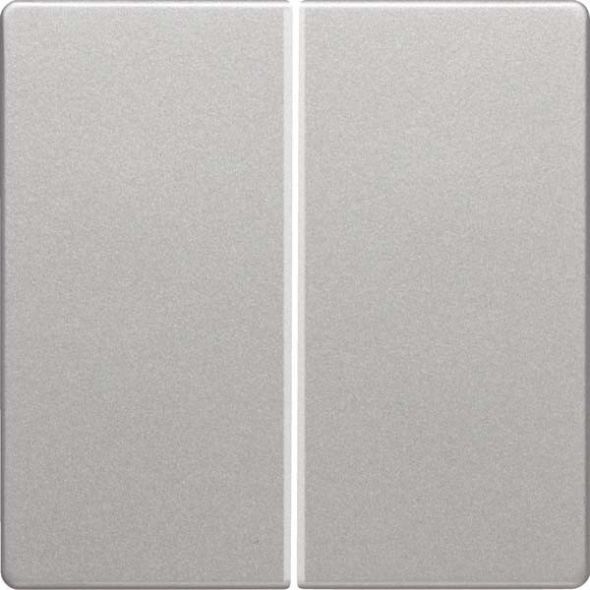 Taste 2-fach 85146124 alu samt lackiert