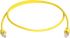 Patchkabel F/UTP 5E L00006D0097