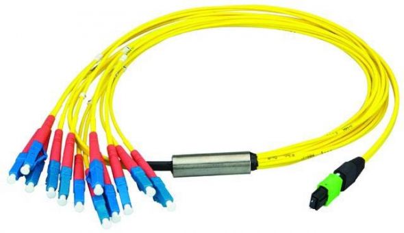 MPO/MTP Aufteilkabl gb 10m L00835A0032