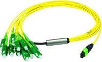 MPO/MTP Aufteilkabel gb 1m L00830A0030