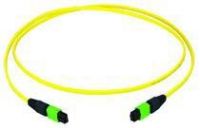 MPO/MTP-Patchkabel gb 40m L00836A0033