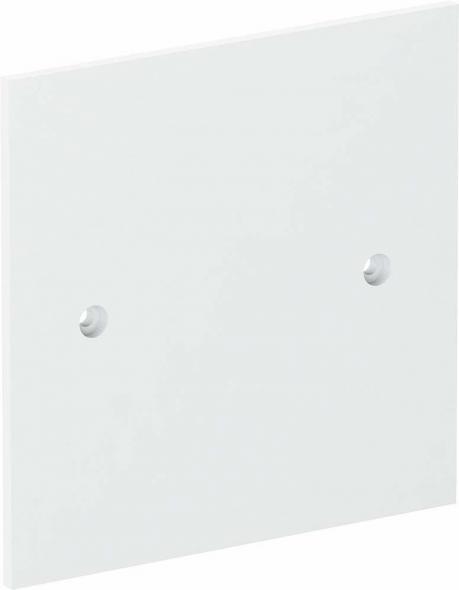 Abdeckplatte VH-P1 RW