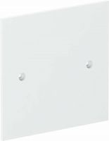 Abdeckplatte VH-P1 RW