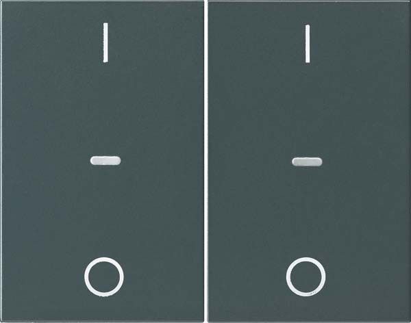 Abdeckung Tastsensor-Modul 80962375