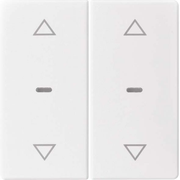 Abdeckung Tastsensor-Modul 80961329