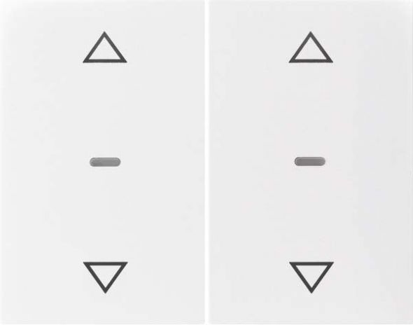 Abdeckung Tastsensor-Modul 80961379