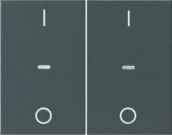 Abdeckung Tastsensor-Modul 80962375