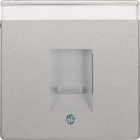 Zentralstück 11706084 alu samt lackiert