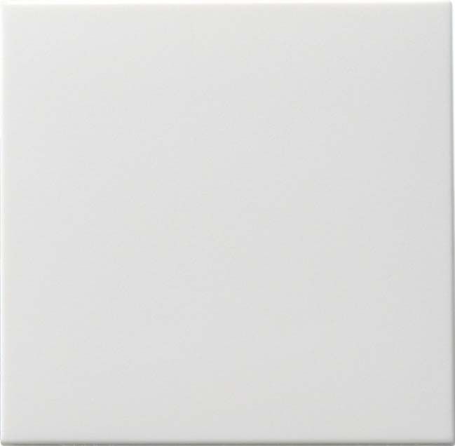 Wippschalter rws-matt 091627