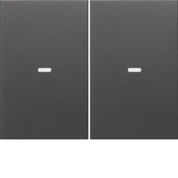 Tast-Abdeckung 2f. anth 80960375