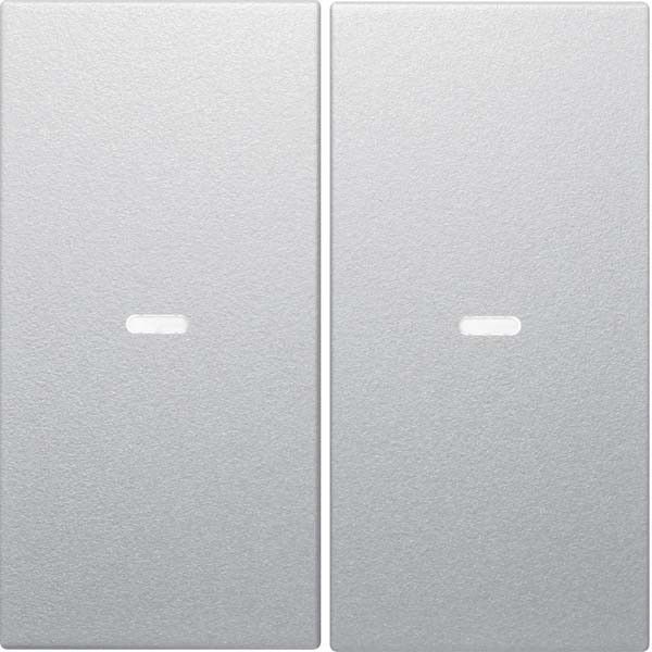 Tast-Abdeckung 2f. alu 80960383