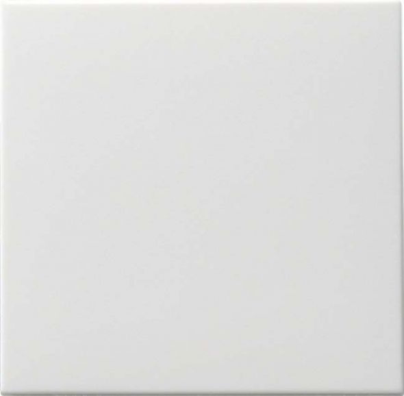 Wippschalter rws-matt 091627