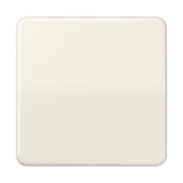 Steuertaste Standard 2-fach CD 1702 GR grau