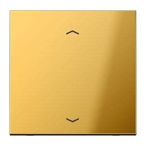 Steuertaste Standard GO 1700 P goldfarben