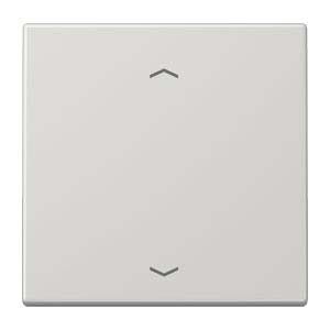 Steuertaste Standard LS 1700 P LG lichtgrau