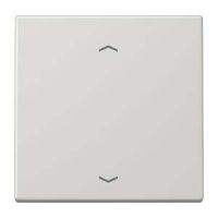 Steuertaste Standard LS 1700 P LG lichtgrau