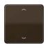 Steuertaste Standard CD 1700 P BR braun