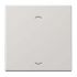 Steuertaste Standard LS 1700 P LG lichtgrau