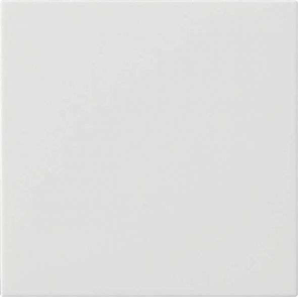 Bedienaufsatz System 3000 reinweiß glänzend 536003