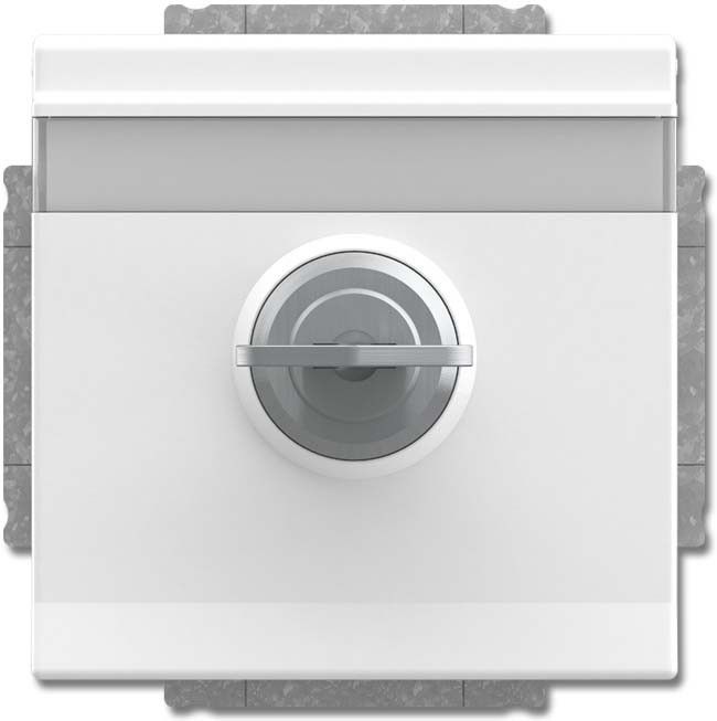 SCHUKO Steckdosen-Einsatz 20 EUKNBSL-84