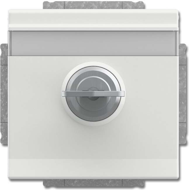 SCHUKO Steckdosen-Einsatz 20 EUKNBSL-884-101