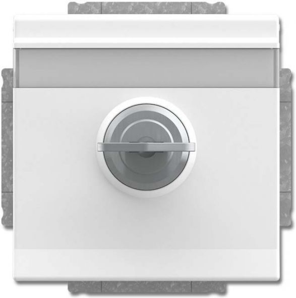 SCHUKO Steckdosen-Einsatz 20 EUKNBSL-84