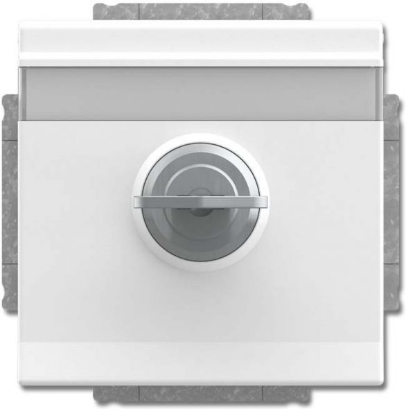SCHUKO Steckdosen-Einsatz 20 EUKNBSL-84-101