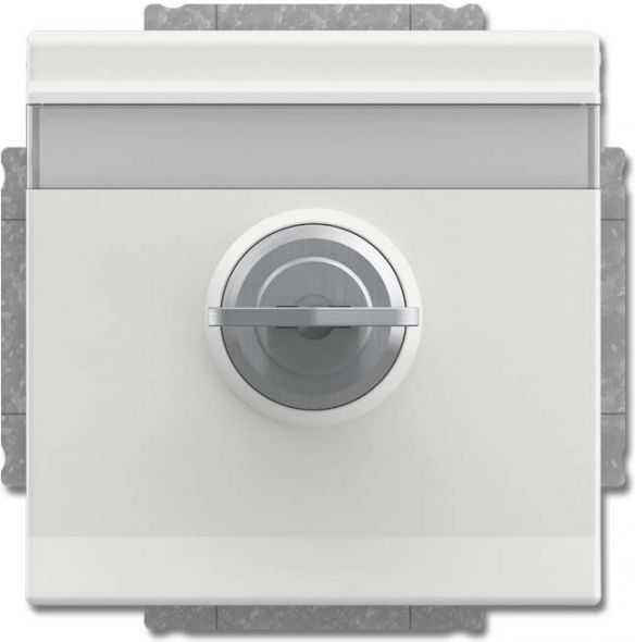 SCHUKO Steckdosen-Einsatz 20 EUKNBSL-884-101