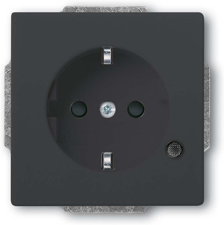 SCHUKO Steckdosen-Einsatz 20 EUCBL-81