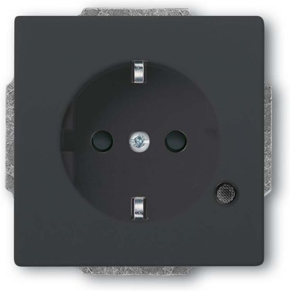SCHUKO Steckdosen-Einsatz 20 EUCBL-81
