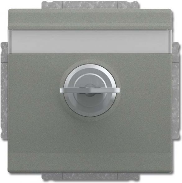 SCHUKO Steckdosen-Einsatz 20 EUKNBSL-803-101