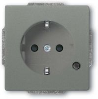 SCHUKO Steckdosen-Einsatz 20 EUCBL-803