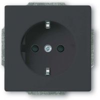 SCHUKO Steckdosen-Einsatz 20 EUCBLI-81