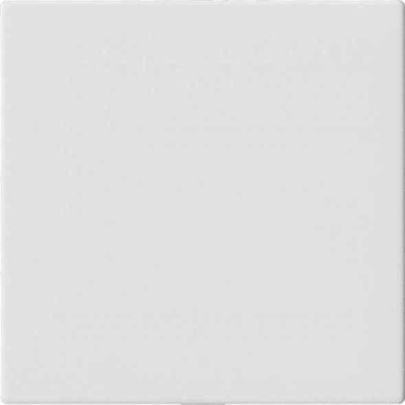 Blindabdeckung o.Tragring 810827