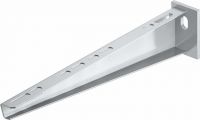 Wand-/Stielausleger AW 15 61 VA4301