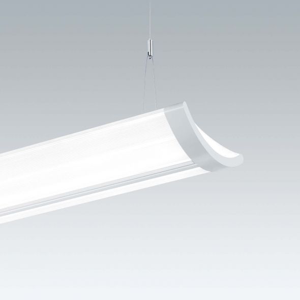 LED-Hängeleuchte IQ SUSP S  #96628956