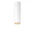 LED-Deckenanbauleuchte P-INF SC R #60818374