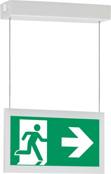 LED-Einzelbatterie-Leuchte m.autom. Funkt.test Notl. 10825 1-8h/D CGLine+