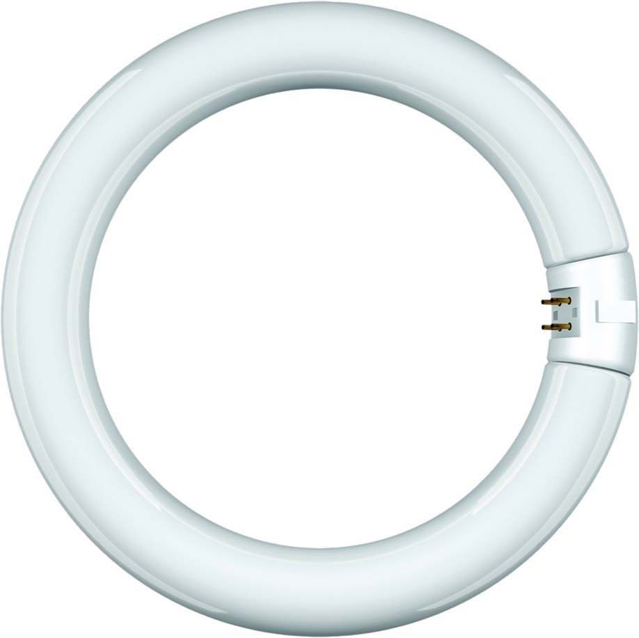 Leuchtstofflampe Ring-Form 68843
