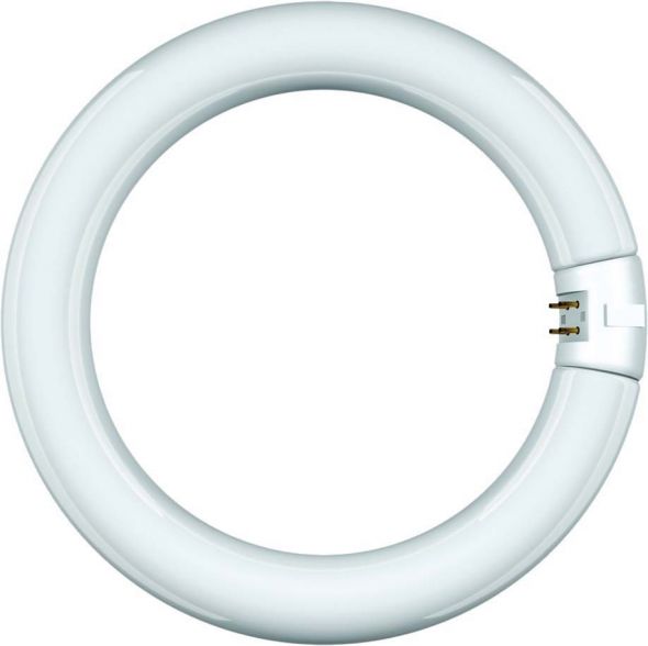 Leuchtstofflampe Ring-Form 68843
