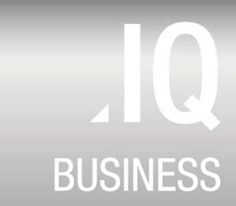 BUSINESS Professional S103V