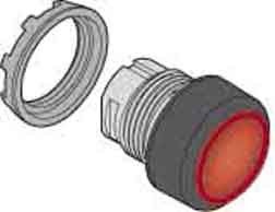 Pilztaster MPM2-10R