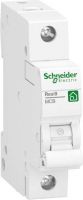 Leitungsschutzschalter R9F23110 B-10A 1-polig