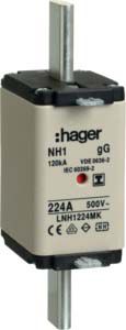 NH-Sicherung NH1 224A gL/gG