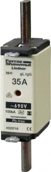 NH-Sicherungseinsatz NH1GG69V80-1