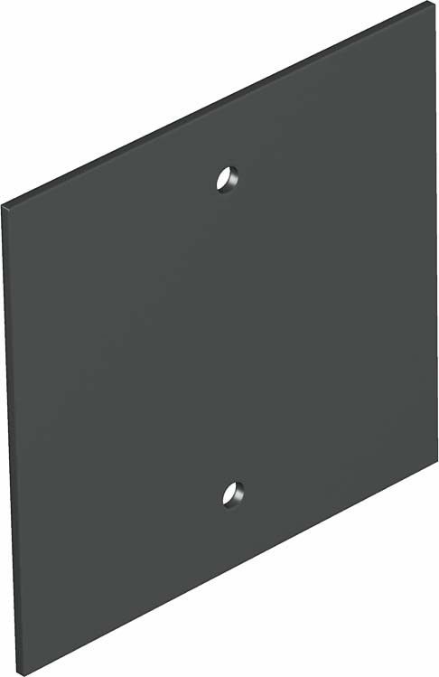 Abdeckplatte T12L P05S 9011