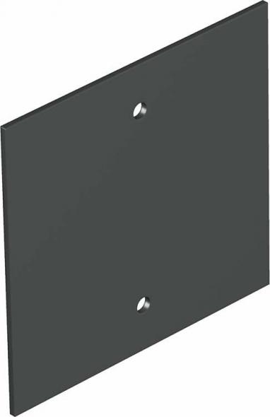 Abdeckplatte T12L P05S 9011