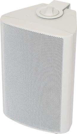 Gehäuselautsprecher WB 10 100 V+8 Ohm ws