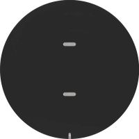 Tastsensor 1f. sw/gl 80161865