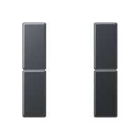 Tastensatz 2-fach A 502 TSA ANM anthrazit matt